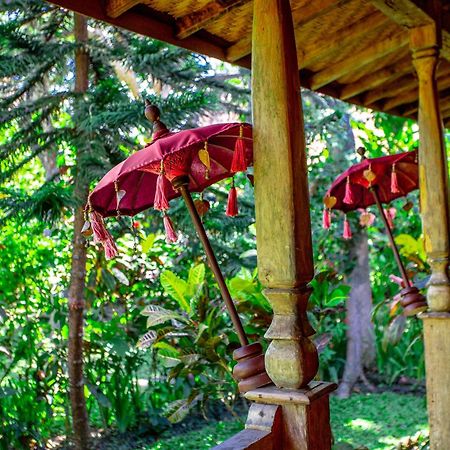 Swasti Eco cabañas Ubud Habitación foto